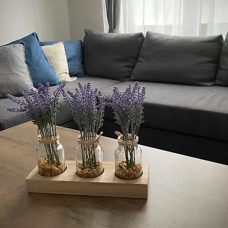 Apartment Levendula *