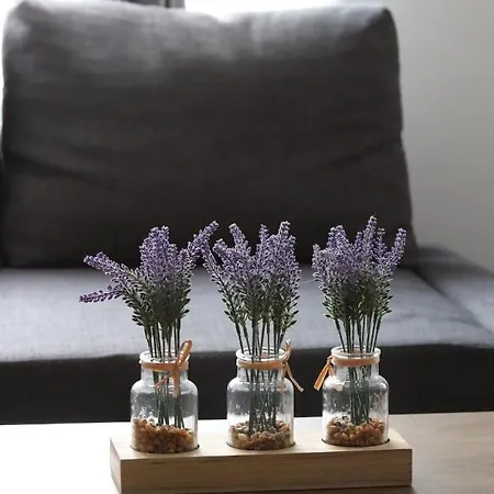 Levendula Appartement *
